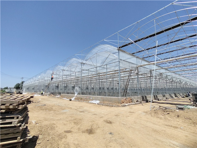 豪利777豪利777首页
建设厂家