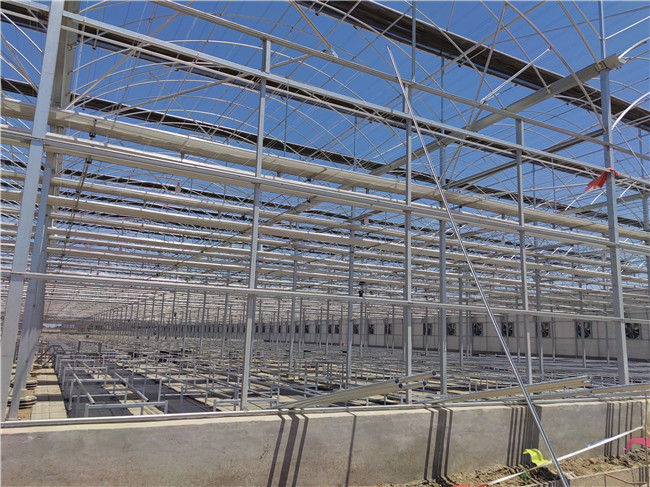 豪利777豪利777首页
设计