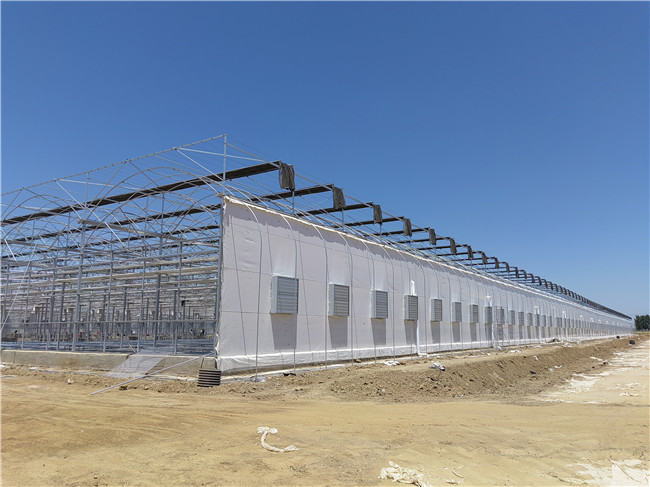 温室豪利777豪利777首页
